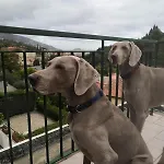 Bilocale Con Terrazza Vista Mare E Posto Auto Apartamento