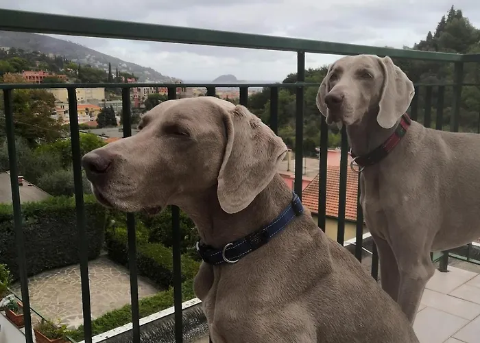 Bilocale Con Terrazza Vista Mare E Posto Auto Lägenhet