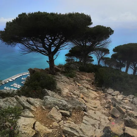 Bilocale Con Terrazza Vista Mare E Posto Auto * 알라시오